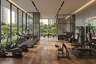 Modern Gymnasium